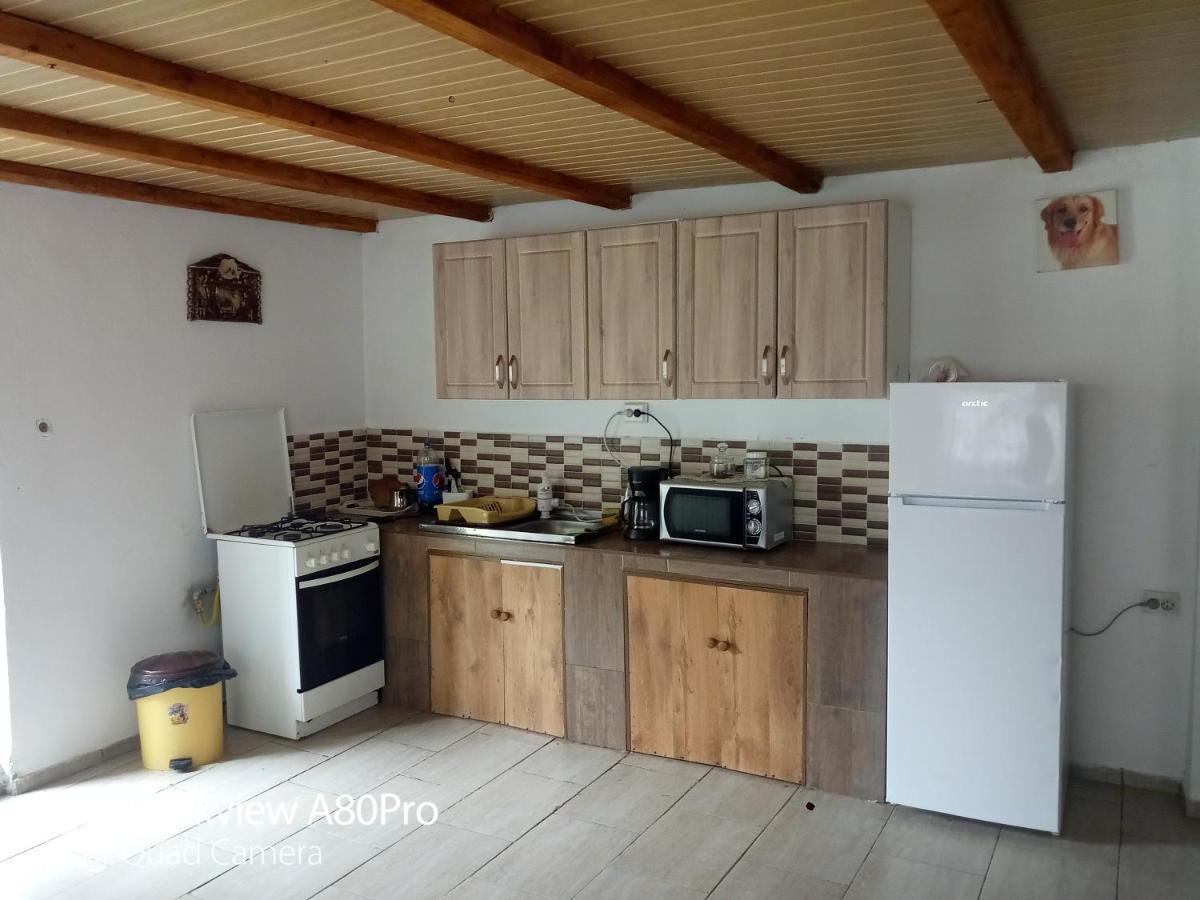 Casa Mari Hotel Cîrţişoara Bagian luar foto