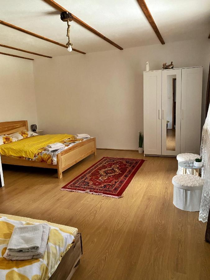 Casa Mari Hotel Cîrţişoara Bagian luar foto