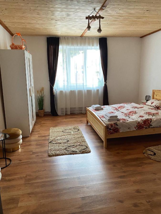 Casa Mari Hotel Cîrţişoara Bagian luar foto